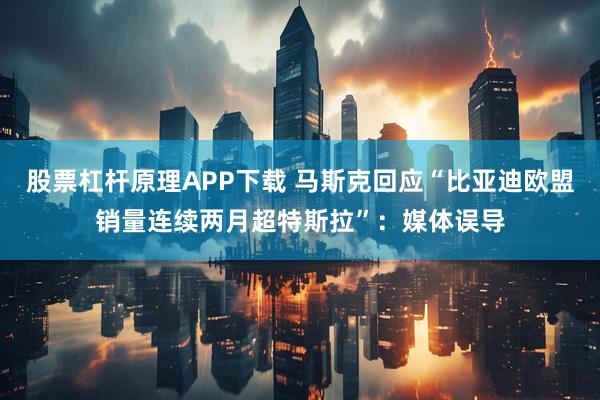 股票杠杆原理APP下载 马斯克回应“比亚迪欧盟销量连续两月超特斯拉”：媒体误导