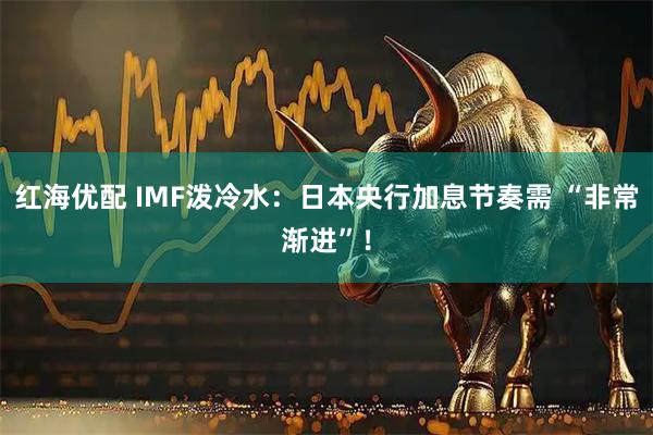 红海优配 IMF泼冷水：日本央行加息节奏需 “非常渐进”！