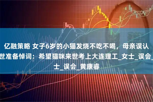 亿融策略 女子6岁的小猫发烧不吃不喝，母亲误认为将离世准备悼词：希望猫咪来世考上大连理工_女士_误会_黄康睿