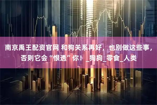 南京禹王配资官网 和狗关系再好，也别做这些事，否则它会“恨透”你！_狗狗_零食_人类