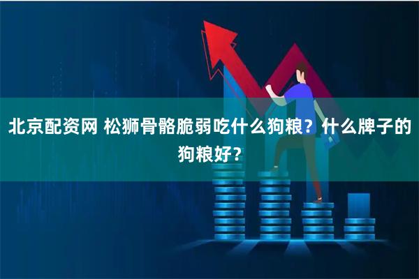 北京配资网 松狮骨骼脆弱吃什么狗粮？什么牌子的狗粮好？