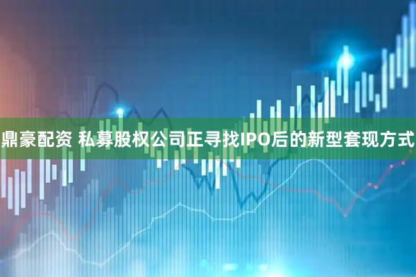 鼎豪配资 私募股权公司正寻找IPO后的新型套现方式
