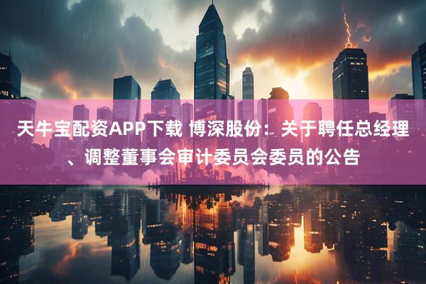 天牛宝配资APP下载 博深股份：关于聘任总经理、调整董事会审计委员会委员的公告