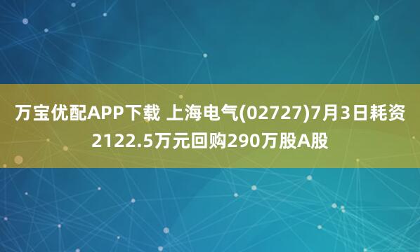 万宝优配APP下载 上海电气(02727)7月3日耗资2122.5万元回购290万股A股