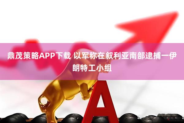 鼎茂策略APP下载 以军称在叙利亚南部逮捕一伊朗特工小组