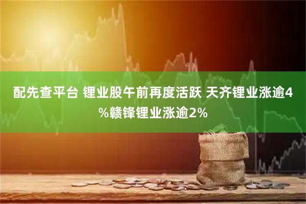 配先查平台 锂业股午前再度活跃 天齐锂业涨逾4%赣锋锂业涨逾2%